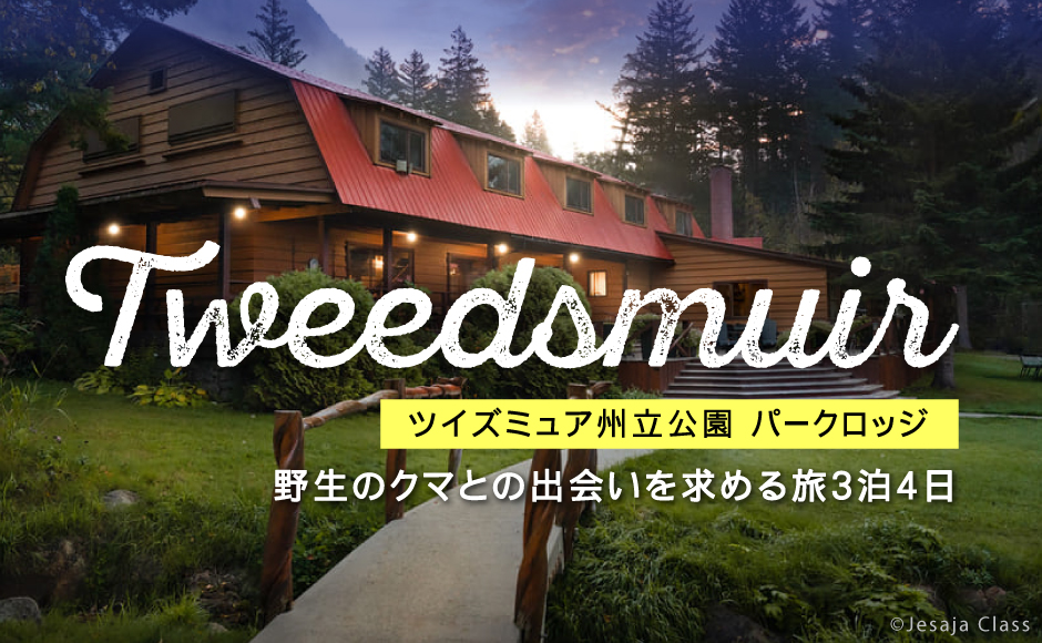 【バンクーバー発着】野生のクマとの出会いを求める旅　ツイズミュア州立公園滞在ツアー3泊4日   グリズリーベアウォッチングを楽しめる、ツイズミュア州立公園滞在ツアー